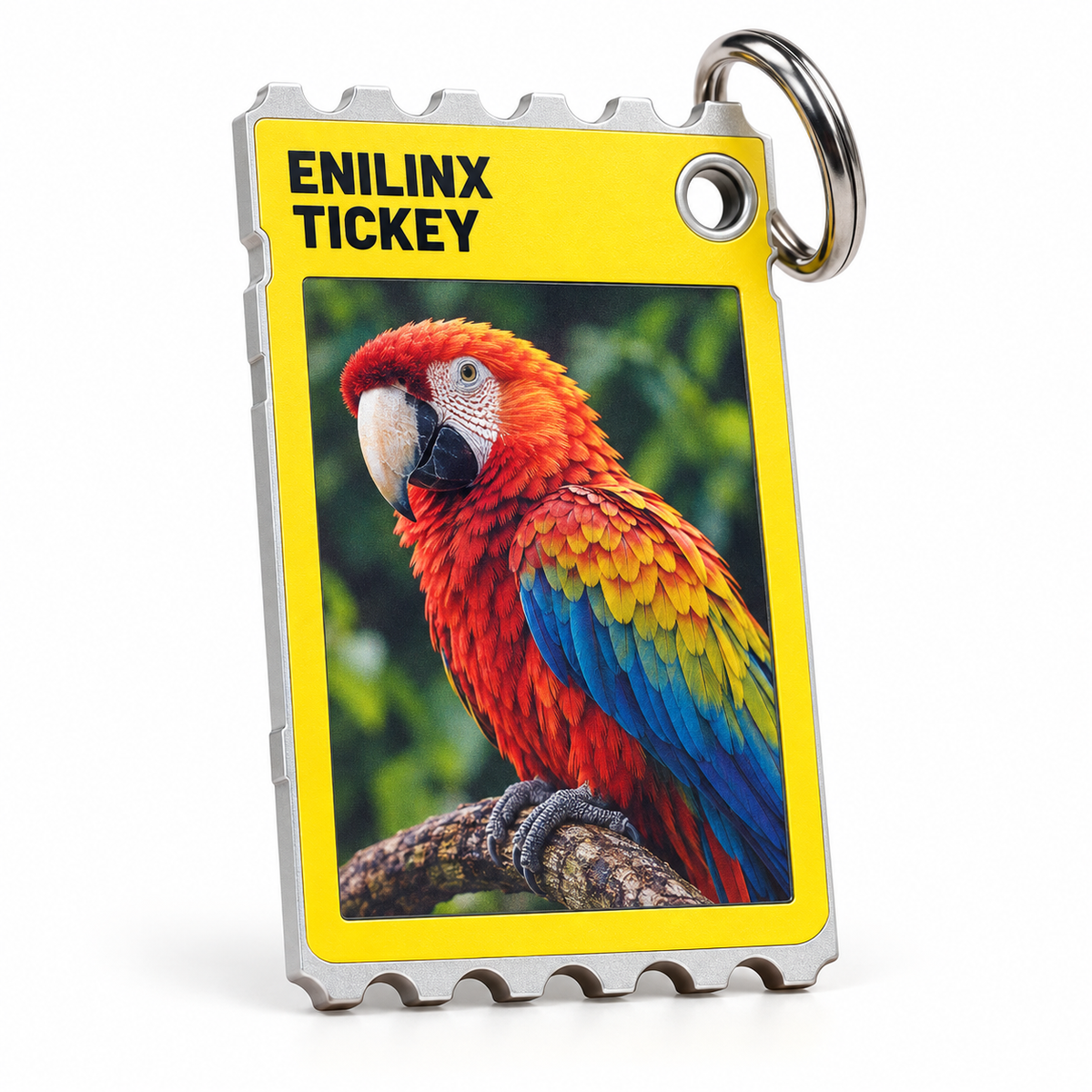 A Customizable Clip-On Color E-Paper Card